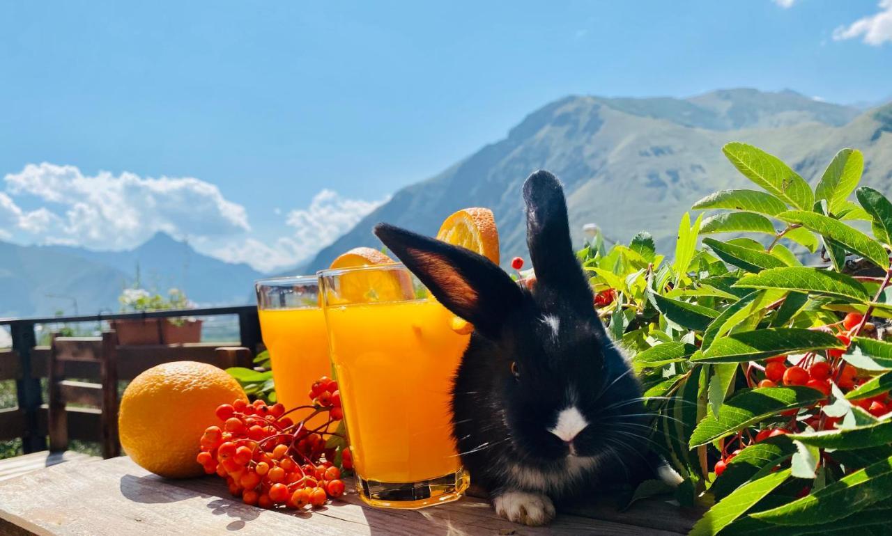 Hotel Kazbegi 1963 Luaran gambar